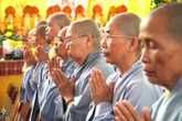 Mỗi ngày ở Việt Nam có gần 30 người chết do tai nạn giao thông