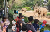 Vài vết muỗi đốt cũng đủ gây sốt xuất huyết, 5 mẹo đơn giản khi đi chơi, đi cắm trại cần biết