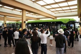 Xe điện miễn phí cho du khách đến với đảo Cát Bà