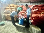 Chống buôn lậu, hàng giả 27-5: Gần 10 tấn chân gà đông lạnh không rõ nguồn gốc, xuất xứ