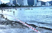 Nha Trang giăng dây phân vùng bờ biển để bảo vệ san hô Hòn Chồng