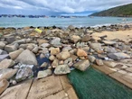Nước thải đen ngòm, hôi thối xả ra biển ngoại ô Quy Nhơn
