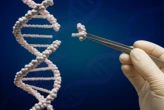 Đột phá giúp chỉnh sửa gene, mở đường chữa hàng trăm bệnh di truyền