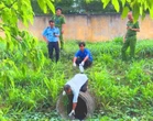 Vi phạm xả nước thải ra môi trường, một công ty ở Vĩnh Long bị xử phạt 345 triệu đồng