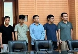 Ông Đào Minh Phú - nhân vật bị bắt cùng Shark Bình - là ai mà gây chú ý?
