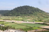 Chuyển 2,8ha đất trồng tỏi ở Lý Sơn sang làm du lịch