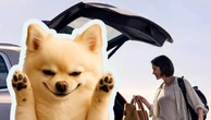 Chó đi qua kích hoạt cốp xe tự đóng khiến người phụ nữ bị thương