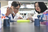 Hai nhà khoa học gốc Việt giải mã bí ẩn hợp chất chống ung thư trong tự nhiên