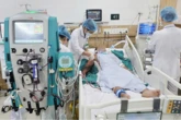 Bị rắn hổ mang cắn nhưng đắp lá điều trị, người đàn ông chết sau 1 tuần