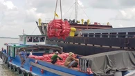 Doanh nghiệp Việt làm gì khi Philippines tính kéo dài lệnh cấm nhập khẩu gạo?