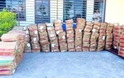 Xe khách chở 112.000 gói măng tẩm ướp gia vị, bao bì tiếng nước ngoài