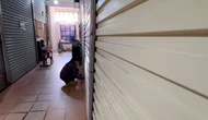 Lý do nào khiến hàng trăm gian hàng tại chợ đầu mối lớn nhất Quảng Bình đóng cửa?