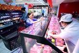 Cấp tốc ngăn dịch tả heo châu Phi