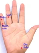 Xoa ngón tay hỗ trợ trị rối loạn cương dương cho quý ông