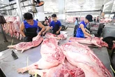 Vì sao thịt heo bẩn vẫn lọt ra thị trường?