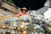 Nền nông nghiệp Việt không thể vận hành bằng may rủi