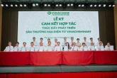 Vinachem bứt phá mạnh mẽ: hoàn thành xuất sắc mục tiêu tăng trưởng 8% cho 6 tháng đầu năm 2025