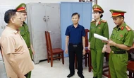 Bầu Đoan bán 189 lô đất khi chưa đủ điều kiện, thu lợi 191 tỉ đồng