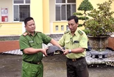 Thấy con rùa răng 10kg đối mặt nguy cơ tuyệt chủng trên đê, công an bàn giao kiểm lâm