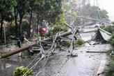 Một tháng tới, khả năng có 2-3 cơn bão, áp thấp trên Biển Đông