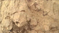 NASA phát hiện 'rùa' trên sao Hỏa