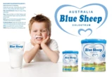Tạm dừng lưu thông 13 sản phẩm dinh dưỡng của Công ty Blue Sheep