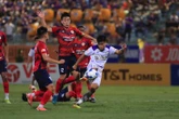 V-League 2024 - 2025: Đại chiến cho ngôi á quân