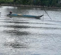 Đò đưa khách sang sông tông vào người đang thả lưới tử vong