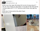 Ngàn lẻ một chuyện bi hài khi tìm chuộc thú cưng