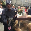 Thông tin diễn viên Morgan Freeman chi 11 triệu USD cứu chó hoang là bịa đặt