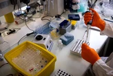 Vắc xin Enteromix của Nga có phải 'thuốc chữa ung thư'?