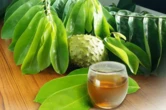 Trà từ lá mãng cầu có thật sự chữa được ung thư nội mạc tử cung?