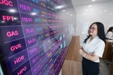 Chứng khoán Việt Nam trước 'giờ G' xét nâng hạng từ FTSE Russell