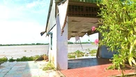 Sạt lở bờ sông Tiền khiến 2 căn nhà sụp xuống sông