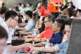 ROX Group chung tay hiến máu, lan tỏa giá trị sống đẹp
