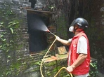 Việt Nam ứng phó với nguy cơ bệnh Chikungunya