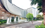 Cho người Việt vào chơi casino: Lợi đủ đường