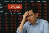 Bảng điện nhiều công ty chứng khoán 'đứng hình' phiên thanh khoản vượt 80.000 tỉ