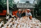 ‘Sống chậm’ ở thung lũng Bồng Lai