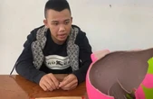 Lấy trộm heo đất có 115 triệu, vài giờ sau bị công an bắt khi chưa kịp tiêu đồng nào