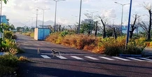 Tòa án quân sự Trung ương triệu tập mở lại phiên tòa phúc thẩm xử vụ án tại sân bay Nha Trang