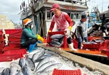 Mỹ từ chối công nhận 12 nghề khai thác hải sản, Bộ Công Thương gửi đề nghị xem xét
