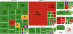 Loạt mã chứng khoán tăng kịch trần, VN-Index áp sát 1.800 điểm