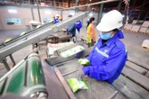 Phía sau một hạt đường là cả một hành trình
