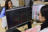 Quỹ cổ phiếu rút ròng mạnh nhất hơn 2 năm, vẫn miệt mài 'gom' một loạt mã