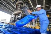 Kiến nghị bỏ một số thủ tục cấp phép trong quản lý phân bón