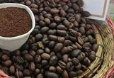 Giá cà phê tăng lại, nhiều nông dân trồng cà phê 'hốt bạc'