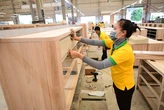 Tin tức sáng 1-7: Giảm mức thu nhiều khoản phí, lệ phí; TP.HCM cảnh báo khẩn dầu phong thấp giả