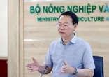 Sầu riêng xuất khẩu sang Trung Quốc giảm sâu, Bộ trưởng Đỗ Đức Duy chỉ đạo loạt giải pháp