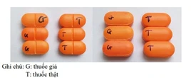 TP.HCM phát hiện nhiều cơ sở kinh doanh thuốc giả, đó là thuốc loại gì?